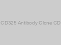 Anti-N-Cadherin/ Cadherin-2/ CD325 Antibody Clone CDH2/1573, Unconjugated-20ug